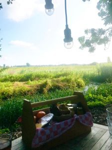 Ontbijtbox met uitzicht en streekproducten in de buurt van de Veluwe